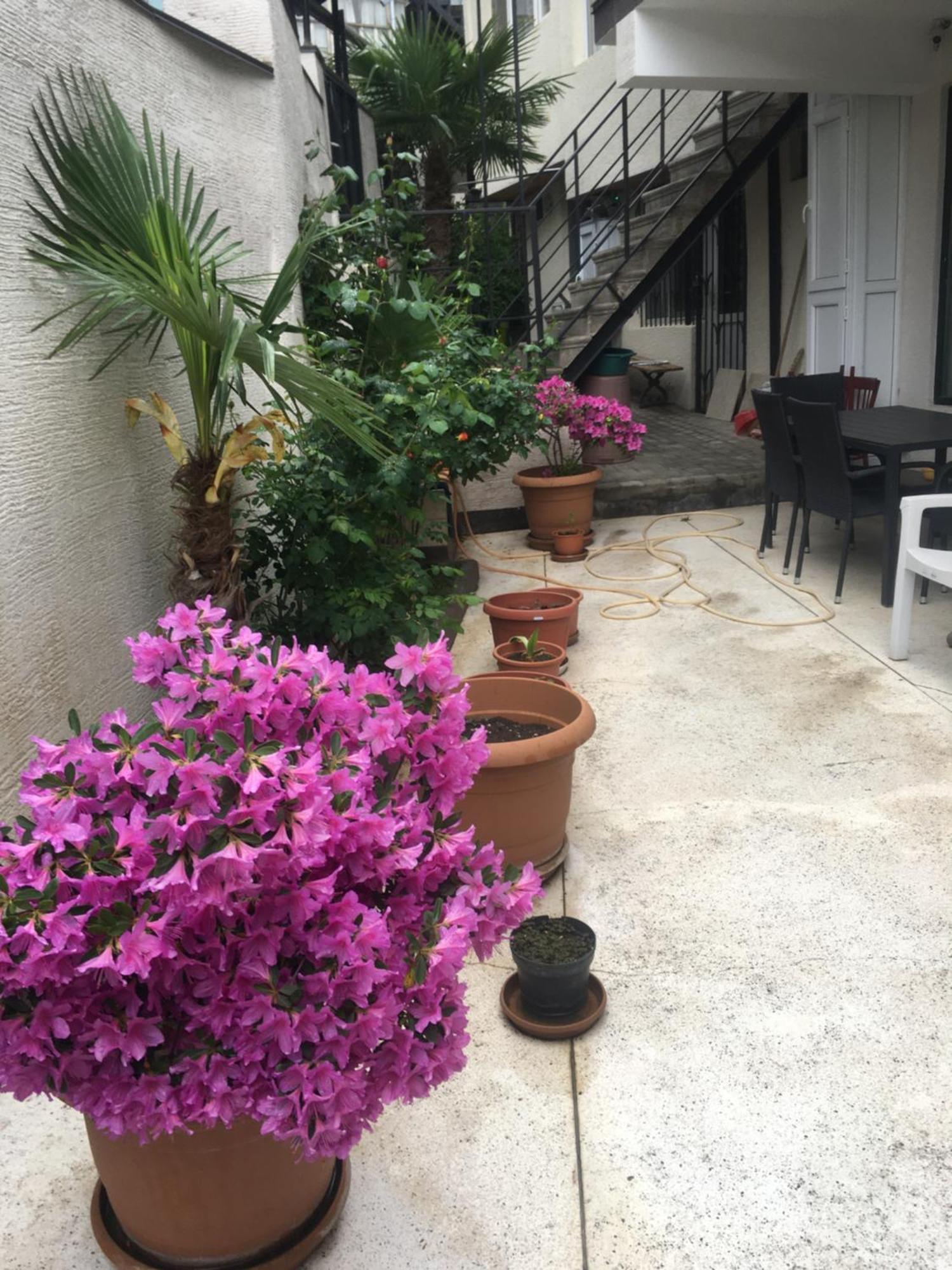 10 Shindisi Street,Tbilisi Διαμέρισμα Εξωτερικό φωτογραφία